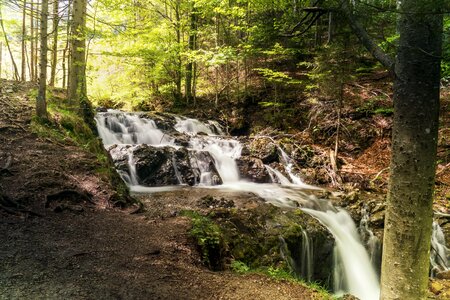 Forest scenic waterfall photo