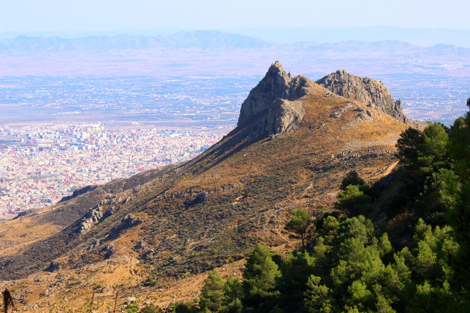 Panorama green wilderness