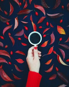 Mood red wallpaper for girls