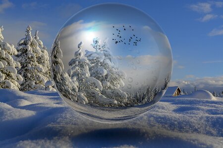 Snow glass birds