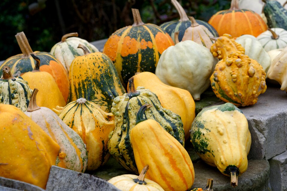 In the fall autumn decoration