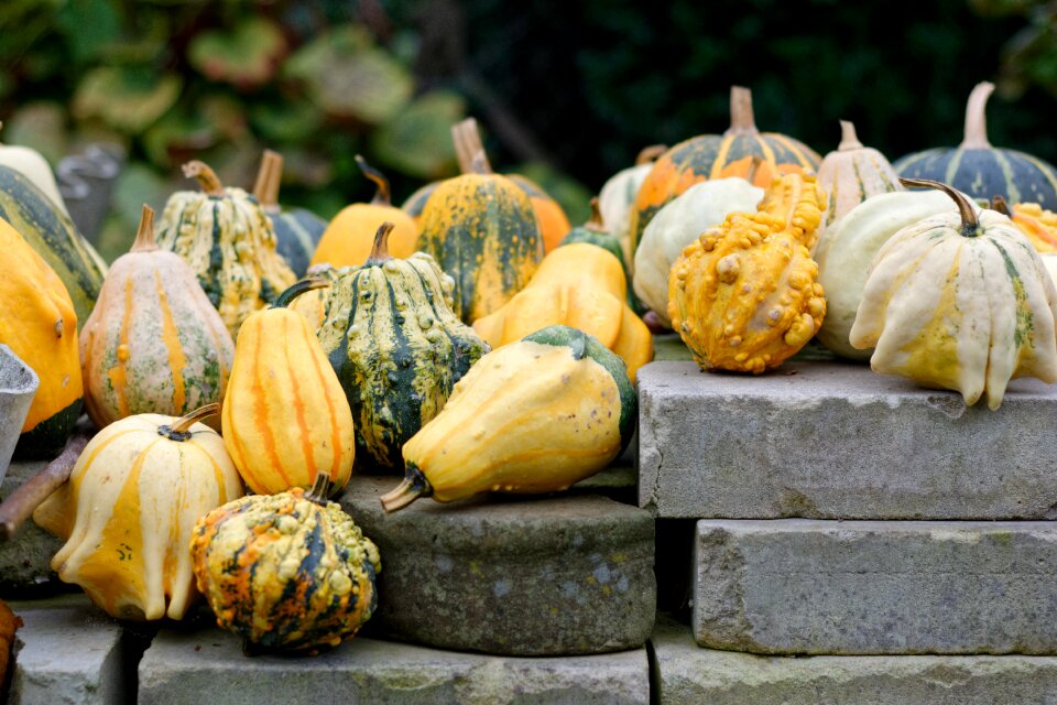 In the fall autumn decoration