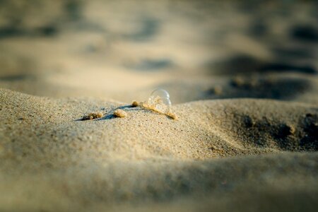 Beach sea water