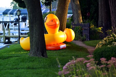 Duck ducky giant