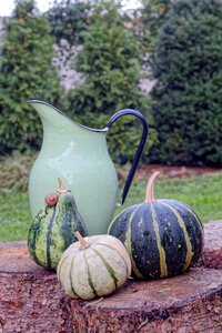 Collections in the fall autumn