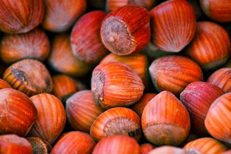 Brown protein nutrition