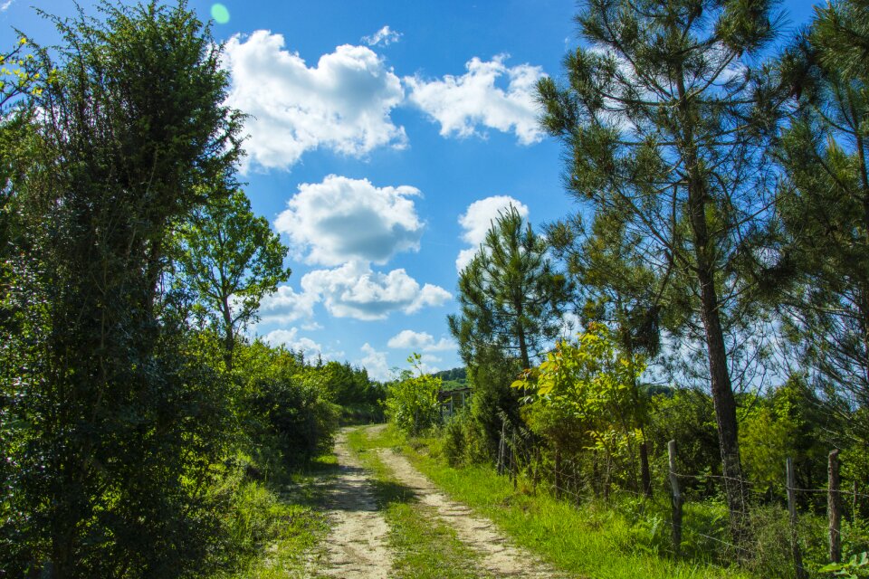 Sky nature horizon