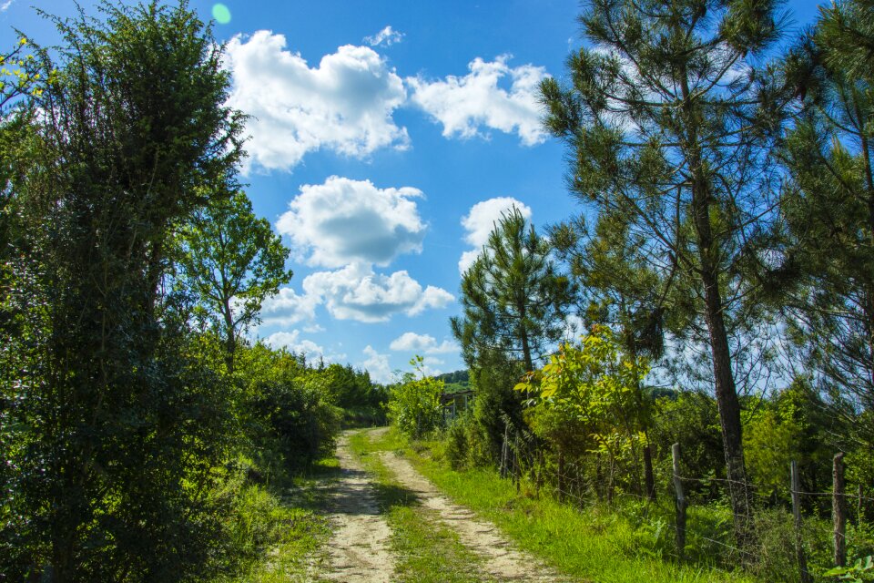 Sky nature horizon photo