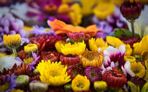 Bouquet farmers local market colorful
