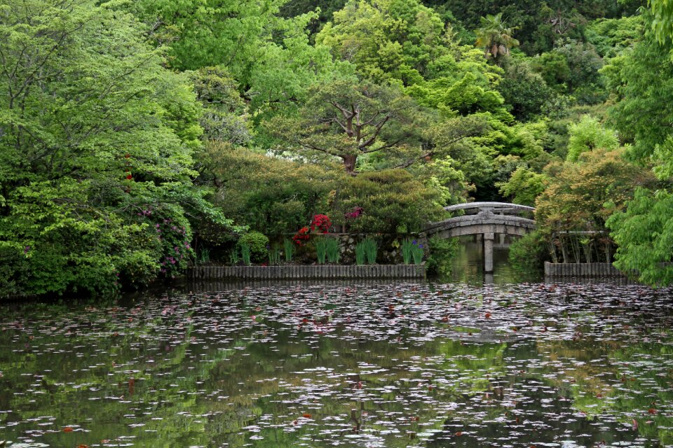 Rain nature park