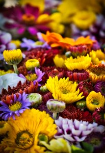 Bouquet farmers local market colorful photo