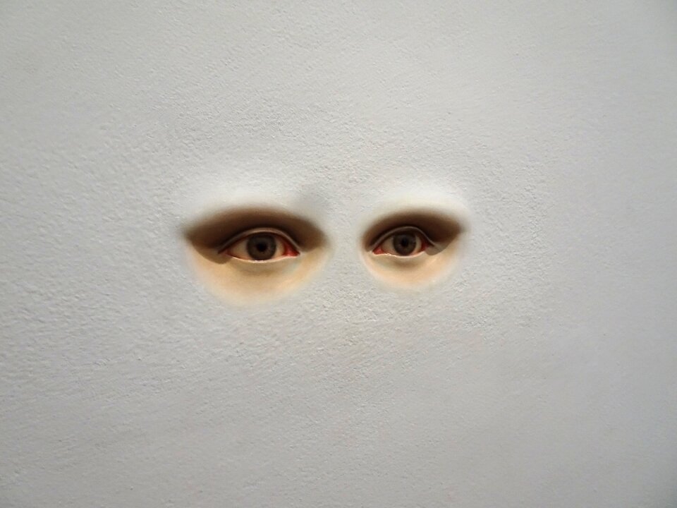 Fiction contemporary strange