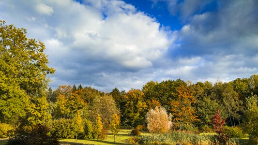 Autumn in the fall oct