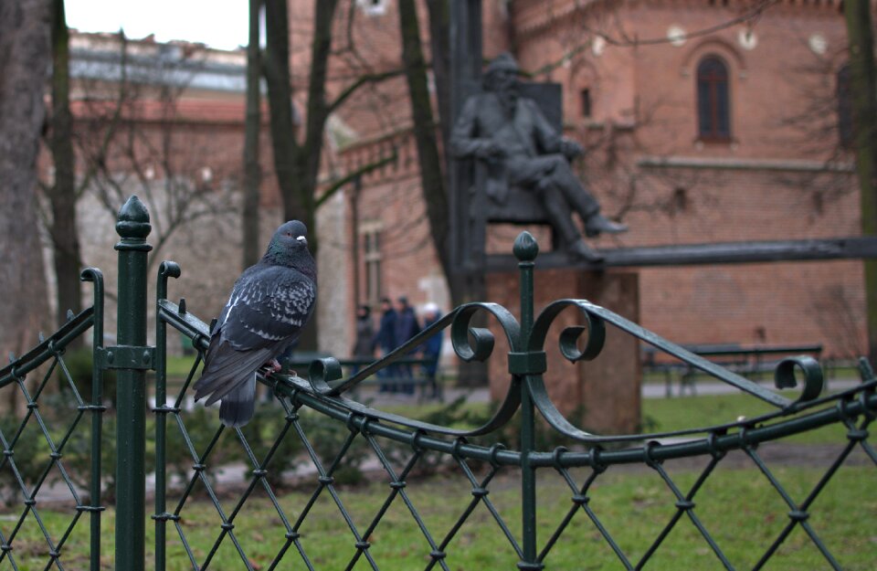 Park monuments matejko