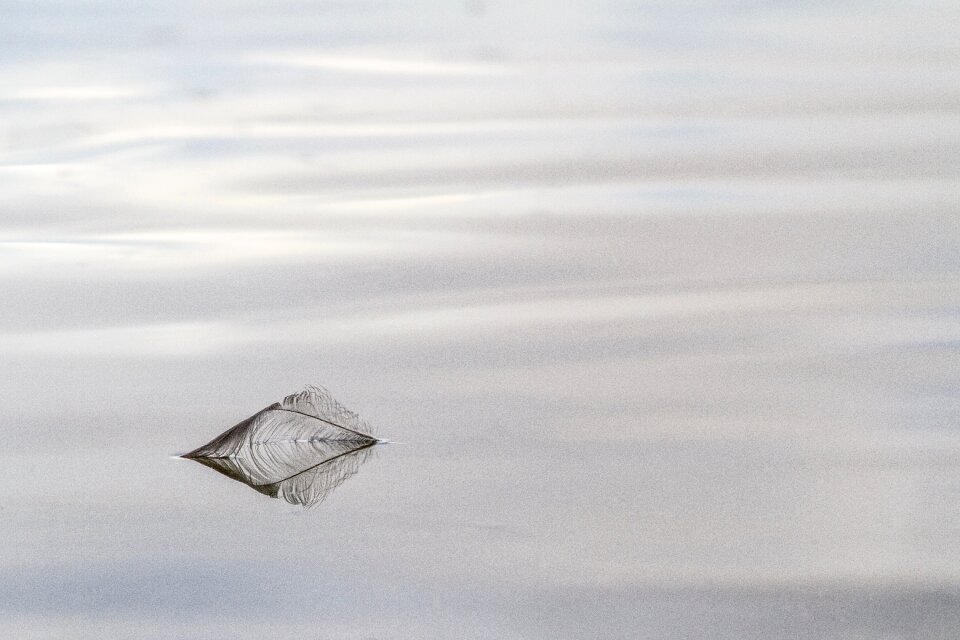 Reflection mourning grief
