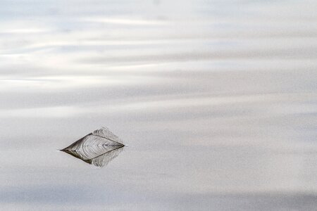 Reflection mourning grief