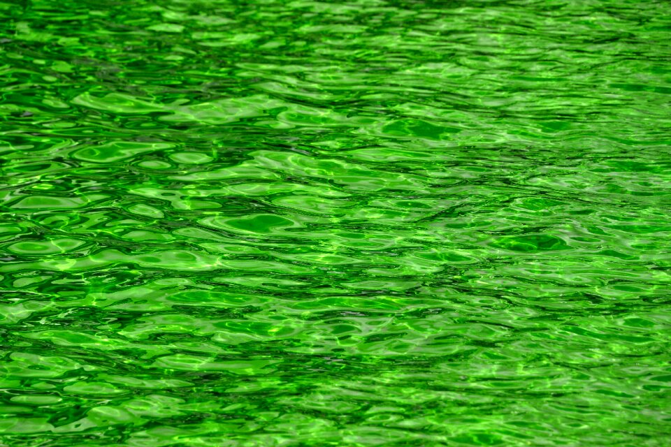 Background texture green texture