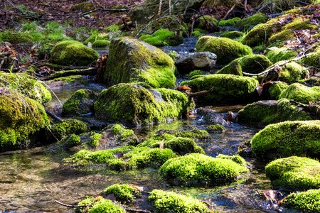 Stone rock landscape photo