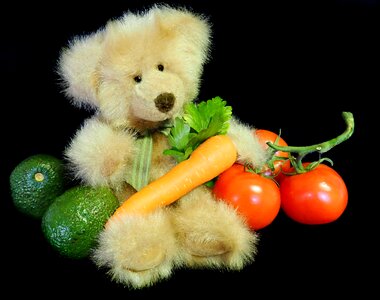 Toy childhood vegetarian