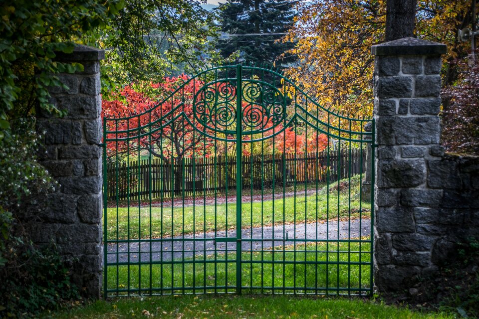 Park foliage historical