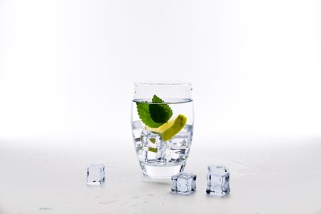 Mint mint leaf lime