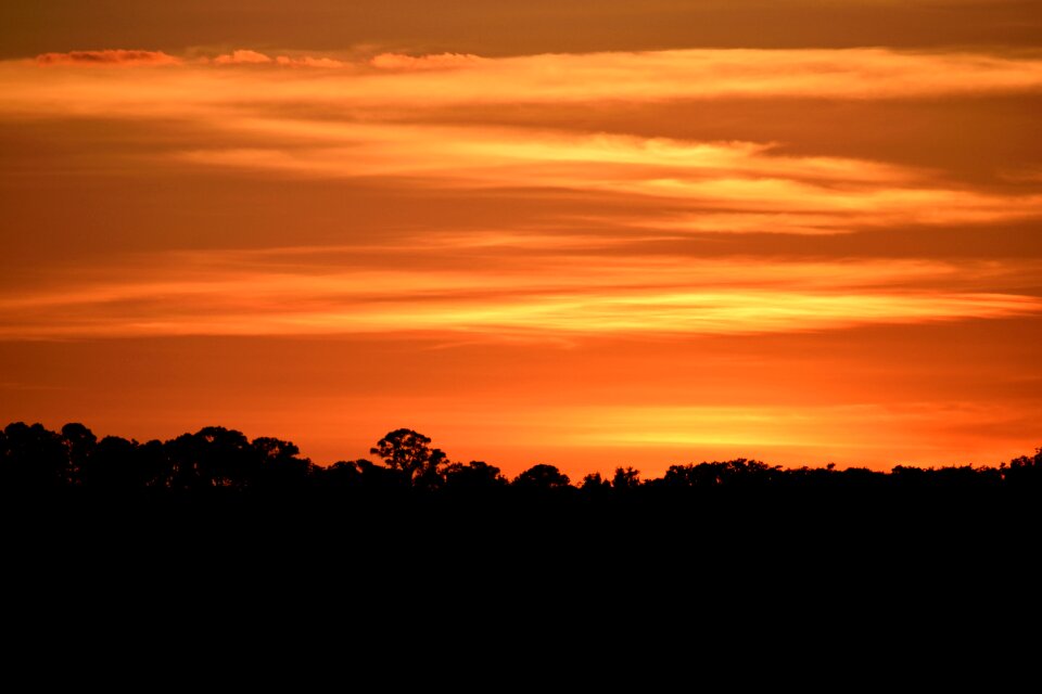 Orange color river florida photo