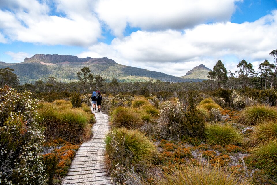 Wilderness landscape scenic