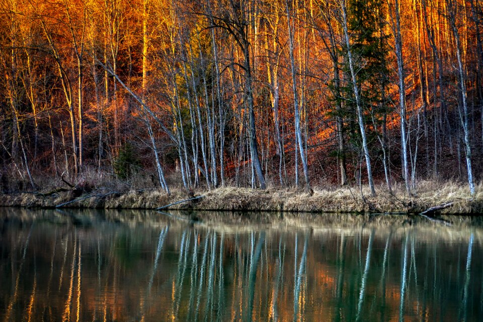 Lech leaves abendstimmung