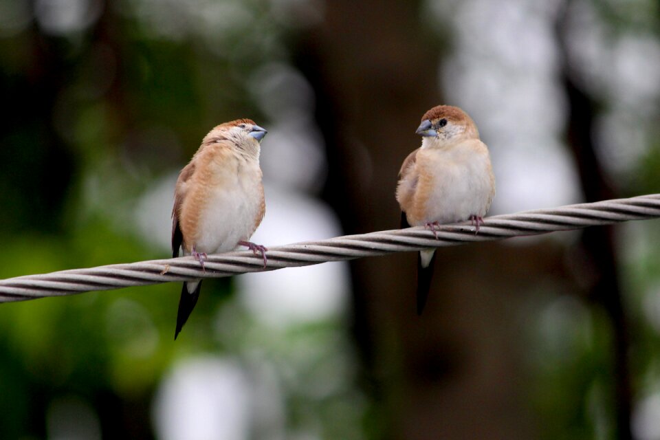 People couple relationship
