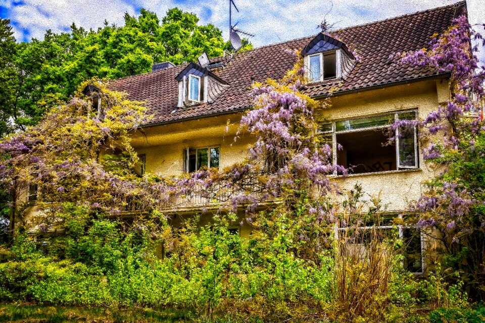 Overgrown hidden abandoned places photo