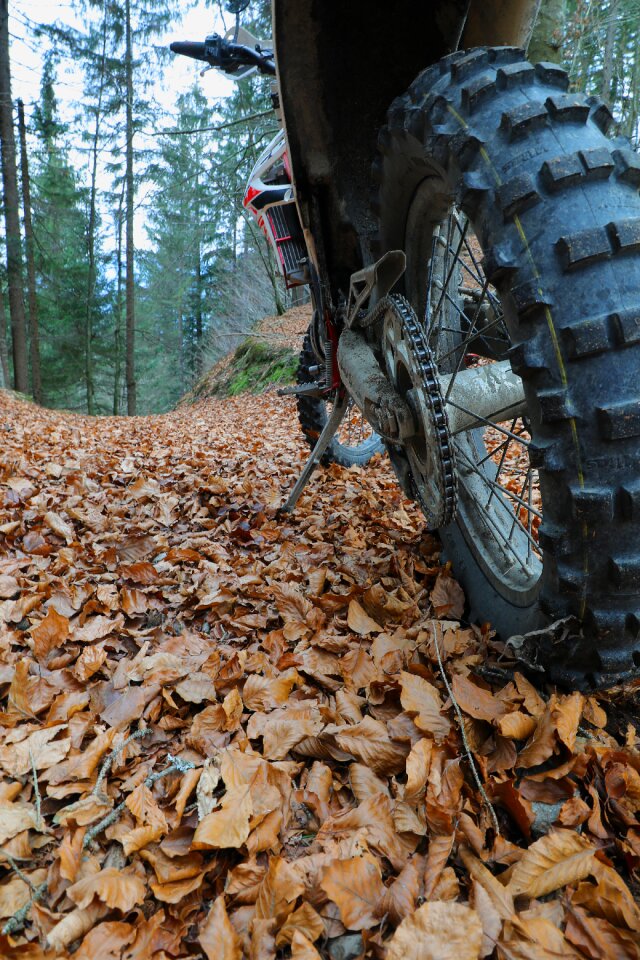 Enduro cross leaves