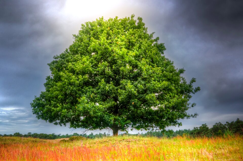 Ground pead sky