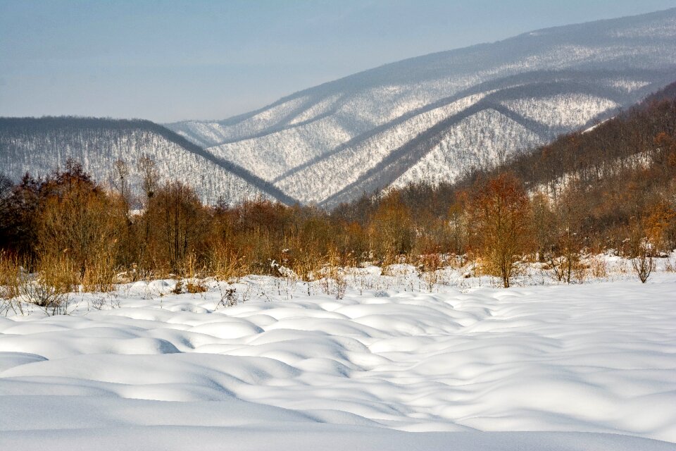 Mystical snow atmosphere