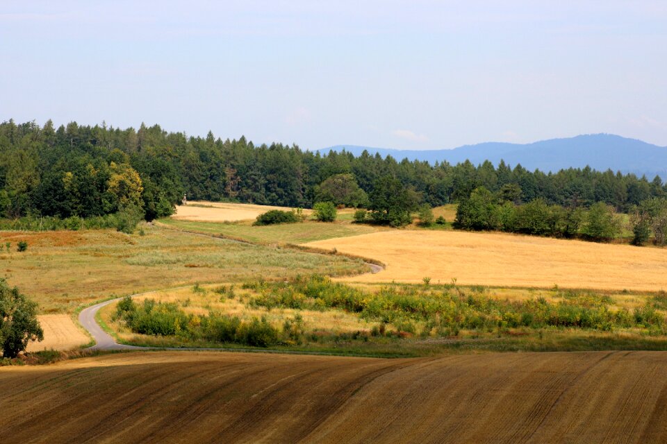 Panorama view agriculture