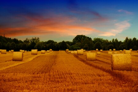 Summer filter agriculture