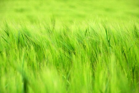 Farm nature rural areas