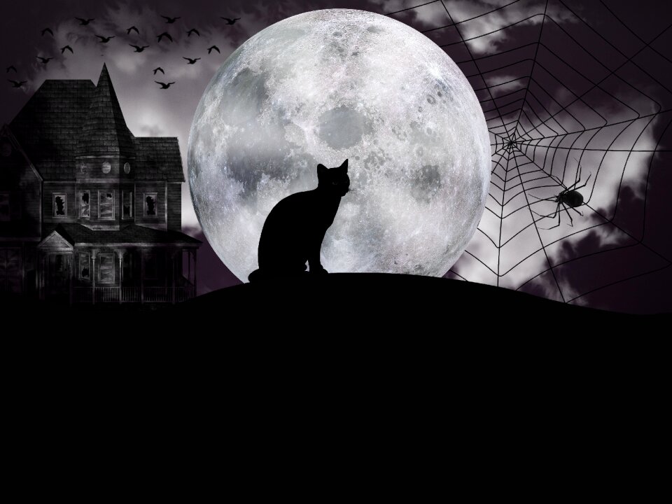 Full moon dark chilling