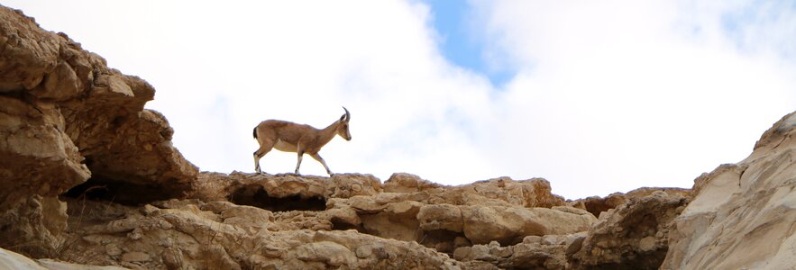 Dry sand israel photo