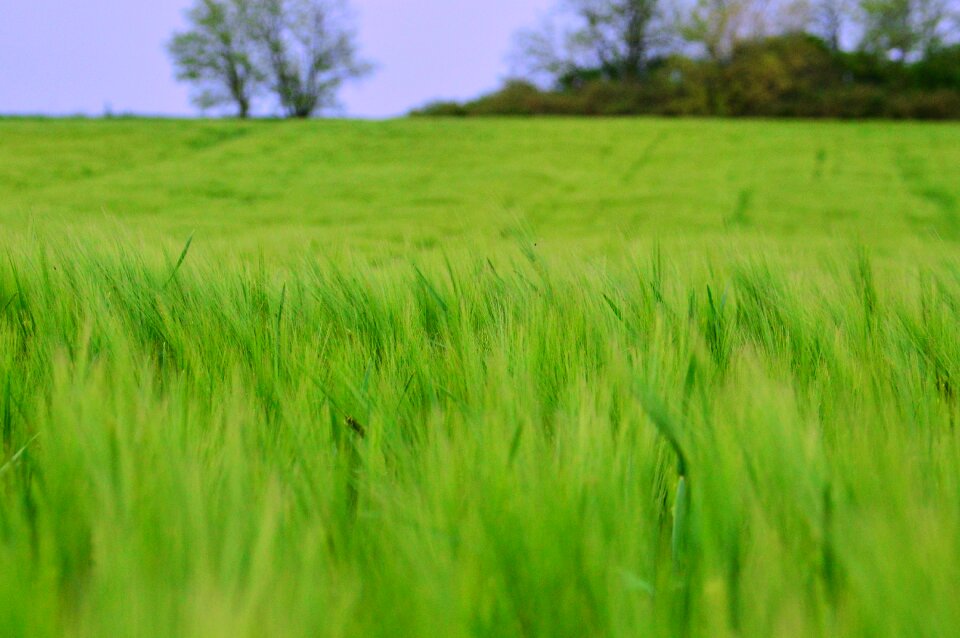Farm nature rural areas