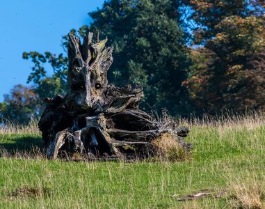 Dead old landscape