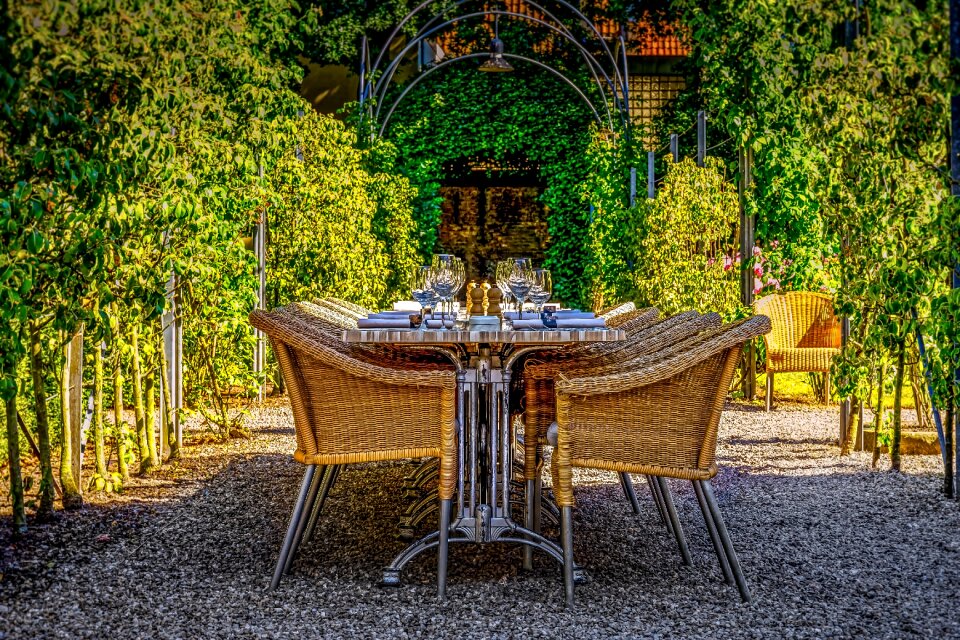 Dish dining decoration