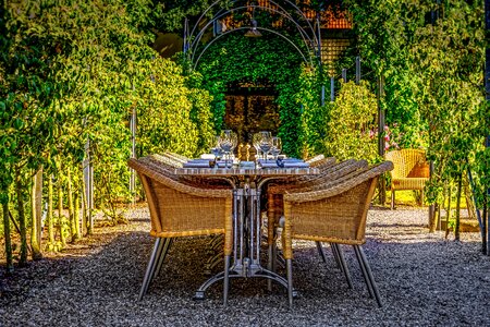 Dish dining decoration