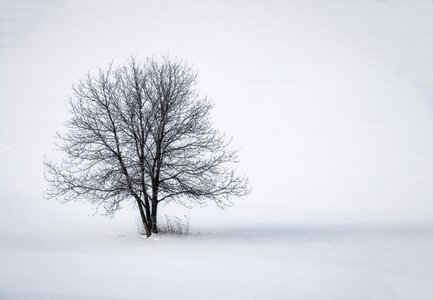 Nature wintery landscape photo