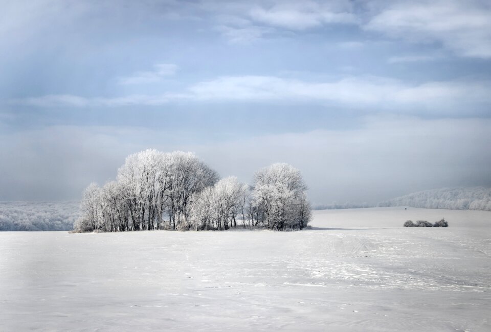 Snow wintery landscape