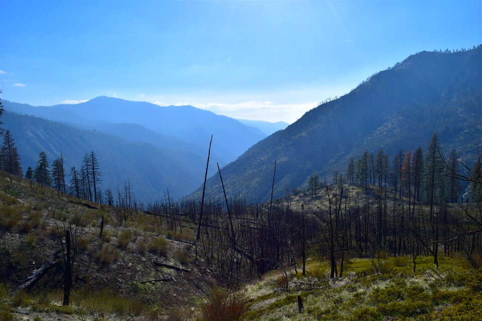 Trail wood landscape