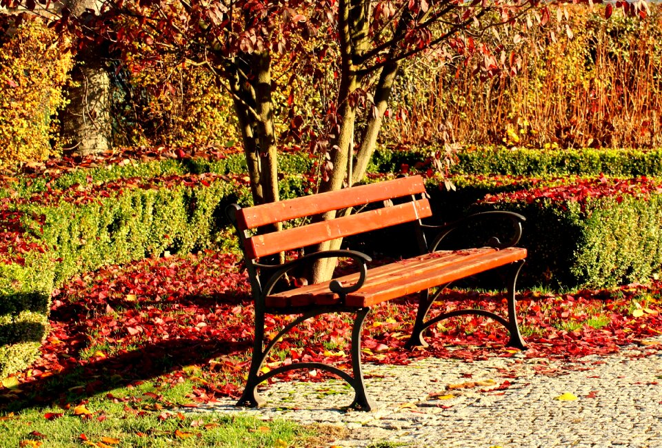 In the fall relaxation nature