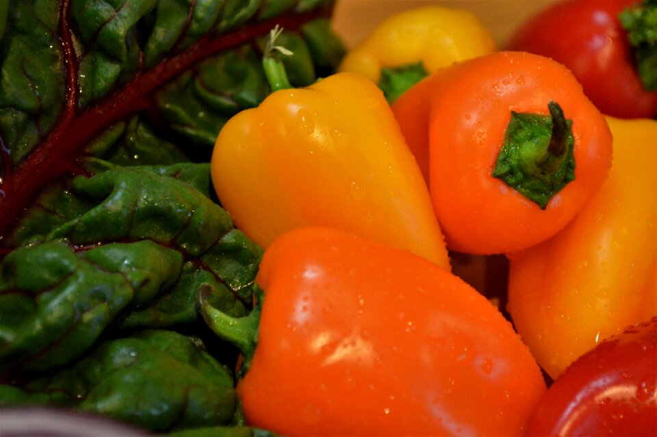 Healthy colorful diet yellow