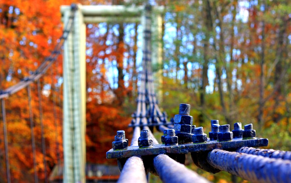 Bridge autumn bridge cable