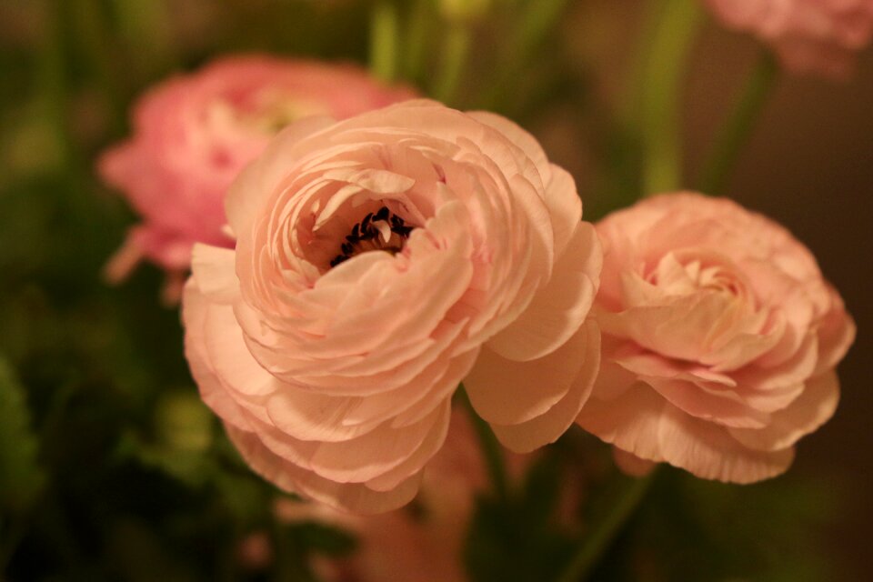 Buttercups pink bouquet
