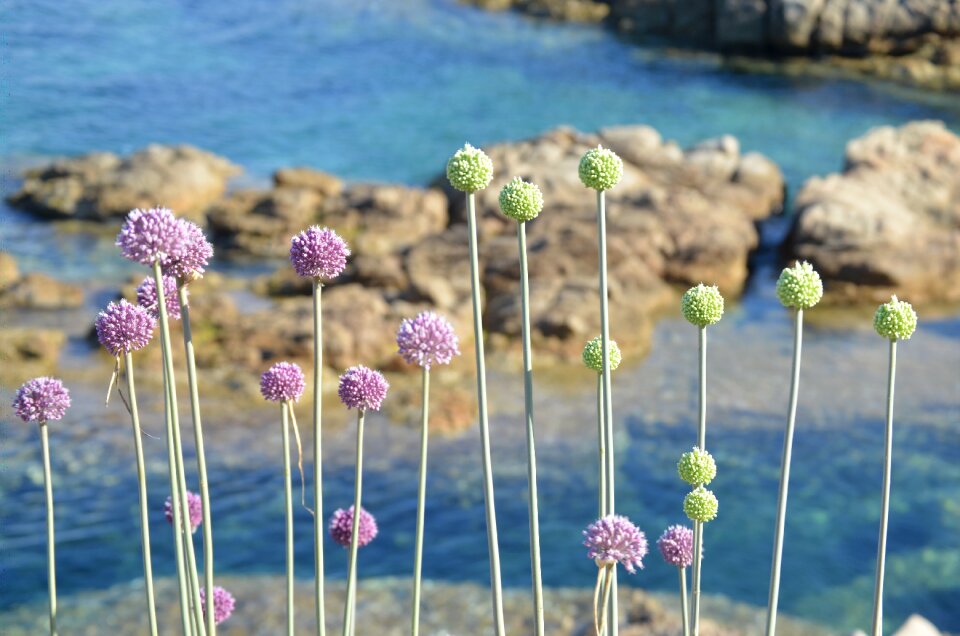 Nature holiday sardinia